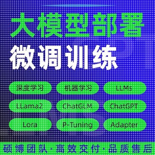 python代编程大模型微调训练Llama2环境配置代码代跑深度学习指导