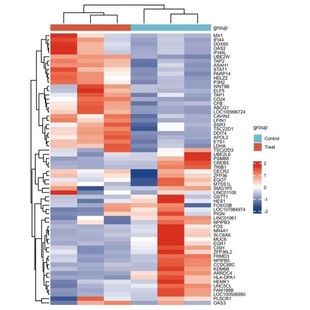 bulk 当天出结果 RNAseq上游分析fastq到count矩阵