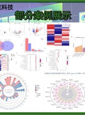 转录组测序RNAseq分析差异基因GO KEGG富集分析
