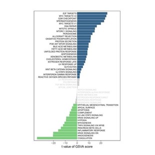 生信分析定制服务TCGA GEO数据库挖掘转录组单细胞测序网络药理医
