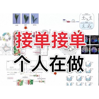 分子动力学模拟项目定做，代码，出图，复现等，质量有保障