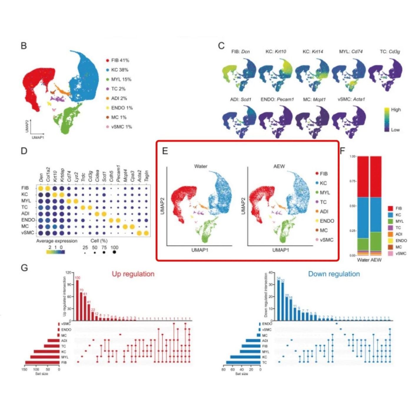 单细胞测序生信分析scRNA, scATAC,转录组表观组通路富集分析等