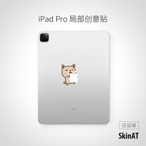iPadPro局部创意贴纸猫咪系列