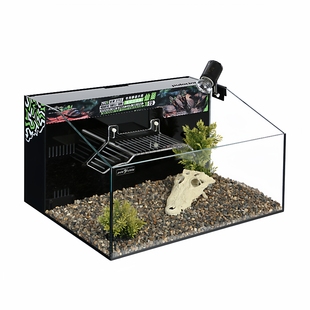 葆易马赫Pulocinta仙巢T5龟缸巴西龟半水龟黄缘箱龟锯缘龟缸晒背