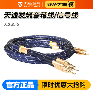 1单晶无氧铜AC Winner 6发烧喇叭音箱线SC 1信号线同轴线 天逸