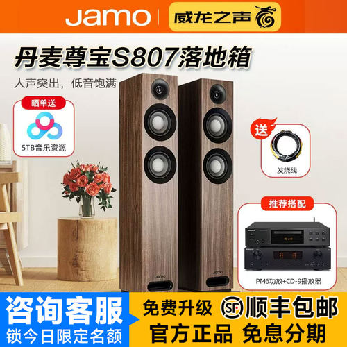 尊宝S807发烧级落地音箱功放组合
