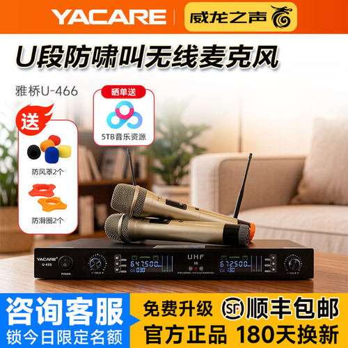 雅桥专业动圈家庭KTV无线话筒k歌