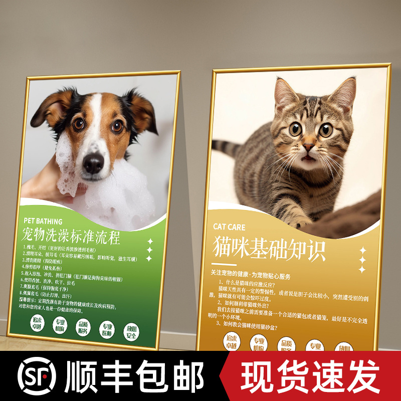 宠物店墙面装饰动物美容海报医院诊所挂画猫狗护理知识文化墙壁画