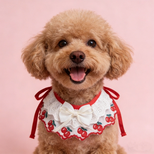 宠物狗狗口水巾围巾饰品大狗公主风围兜中大型犬围脖宠物可爱风