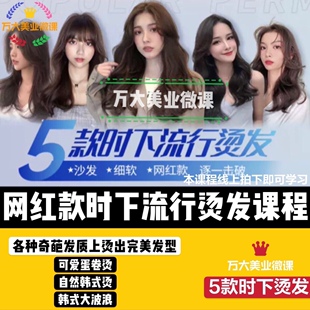 2020最新黑眼圈5款时下流行烫发课程美发视频教程