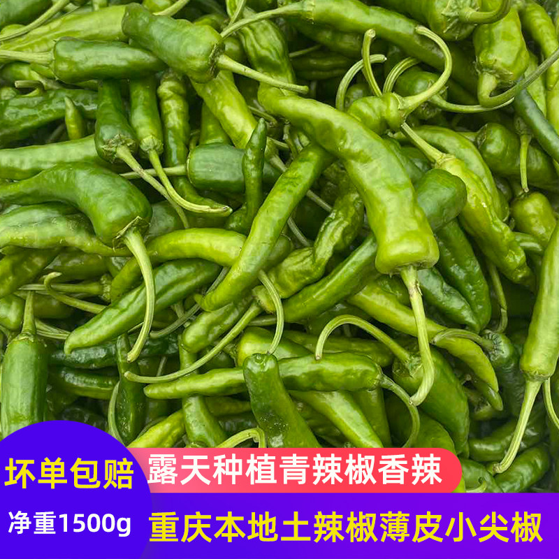 土辣椒四川土辣椒新鲜土辣椒农家土辣椒本地土辣椒新鲜土辣椒现摘