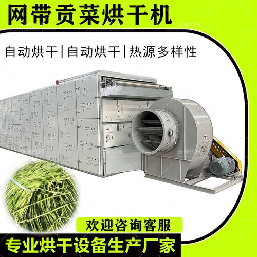 网带椰枣大枣柠檬贡菜烘干机