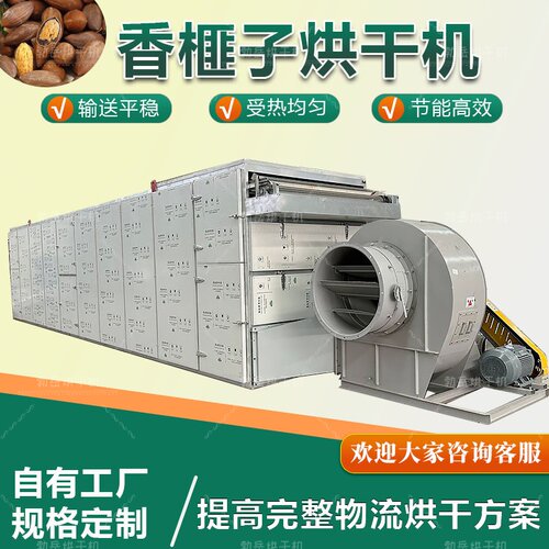 全自动香榧子茶籽葫芦籽烘干机