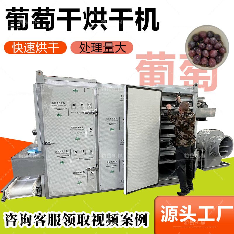 黑加仑青提阳光玫瑰葡萄风干机