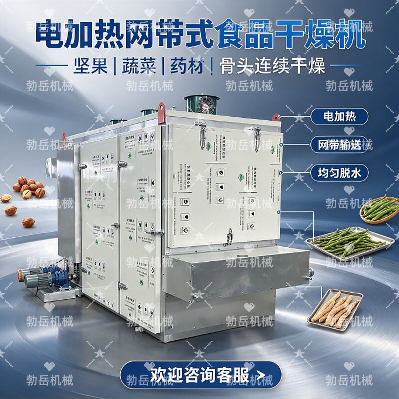 电加热网带天麻夏威夷果干烘干机