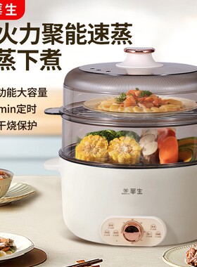 华生电蒸锅家用多功能蒸煮一体大
