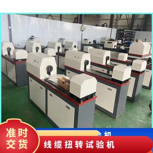 数显式材料扭转试验机金属材料扭转性能测试 显示扭矩100NM可定做