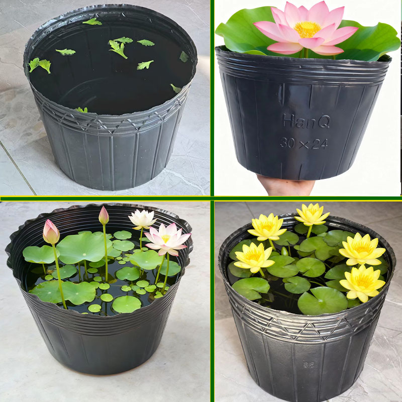 加厚软塑料无孔营养钵不漏水水培