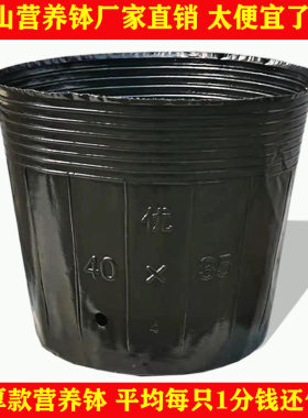 加厚营养钵育苗杯大号黑色花盆