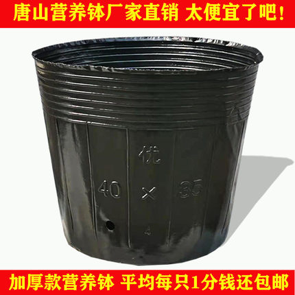 加厚营养钵育苗钵育苗杯育秧盆花盆营养杯大号黑色塑料一次性装土