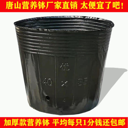 加厚营养钵育苗杯大号黑色花盆