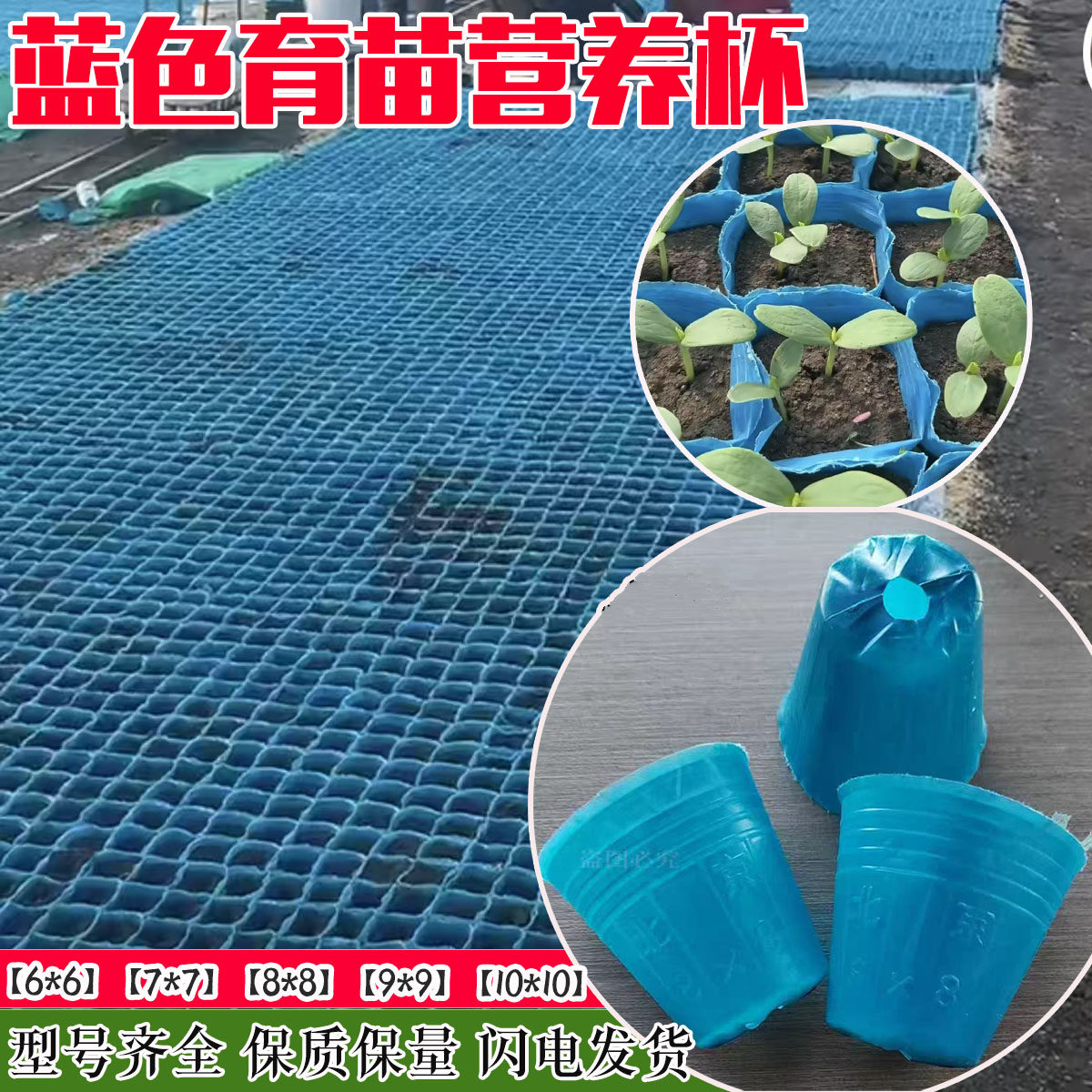 蓝色育苗营养杯盆花卉塑料蔬菜厚大棚一次性营养钵西瓜育苗杯塑料,鲜花速递/花卉仿真/绿植园艺,育苗盘/营养钵,淘宝优惠券,粉丝福利购,淘宝优惠卷