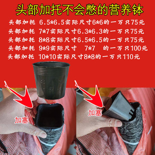 加厚营养钵树苗营养杯育苗杯加托一次性花盆黑色软塑料育苗盆加塞