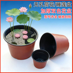 无孔荷花睡莲盆加厚双色花盆不漏水塑料育苗盘营养钵水培植物专用