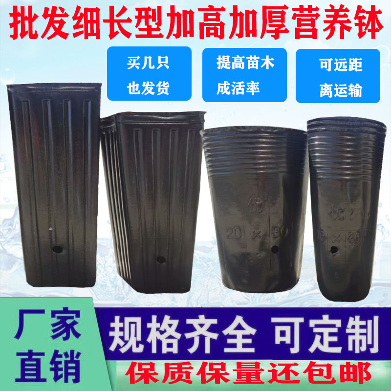 营养钵育苗盆大号一次性黑色塑料细高型提根柑橘育苗钵脐橙营养袋