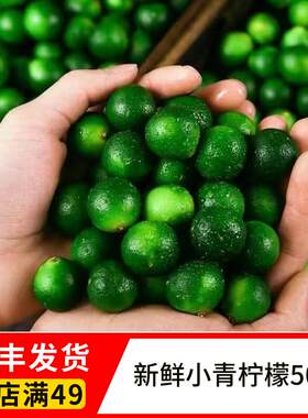 新鲜海南小青柠檬酸爽多汁