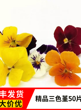 现摘现发 三色堇 角堇 食用鲜花 酒店 西餐 花草摆盘装饰