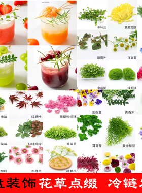 新鲜黄金柳芽香柳三色堇迷迭香