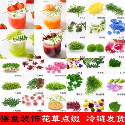 新鲜黄金柳芽香柳三色堇迷迭香