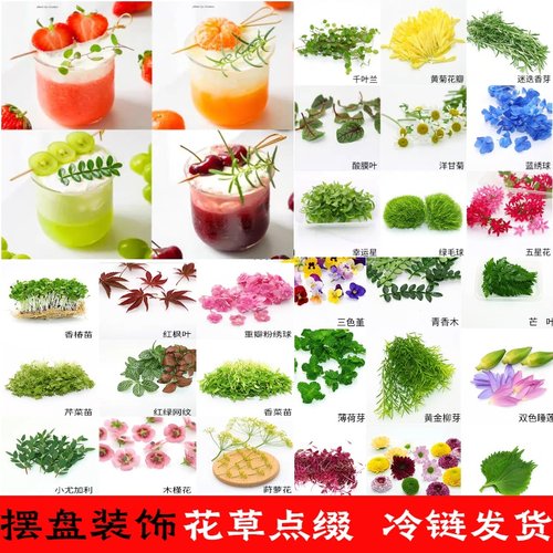 新鲜黄金柳芽香柳三色堇迷迭香