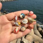 手工饰品 天然贝壳海螺戒指简约指环海边度假创意礼品饰品法式 包邮