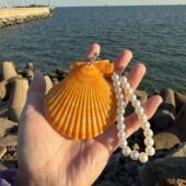 ins笔记本礼物便携本旅游纪念品 贝壳手帐本文艺海风贝壳本 包邮