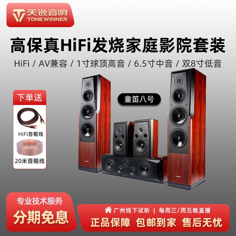 Winner/天逸 童笛TD-8家庭影院音响套装高保真落地大功率HIFI音箱