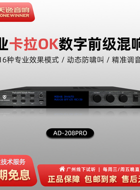 Winner/天逸 AD-208PRO 专业KTV卡拉OK前级音频混响处理器效果器