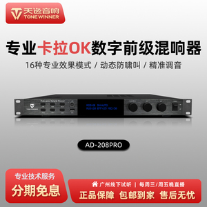 Winner/天逸 AD-208PRO 专业KTV卡拉OK前级音频混响处理器效果器
