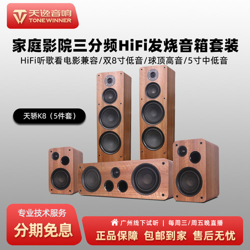 Winner/天逸K8双8寸低音家庭影院