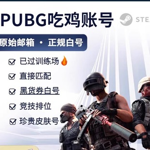 敏金 女团 丹尼尔竞技皮肤排 PUBG Steam绝地求生账号已过AI小号