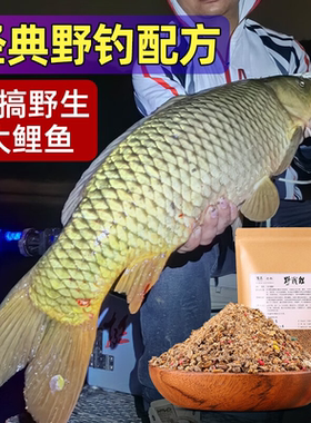 野战鲤专钓野生鲤鱼单开即用
