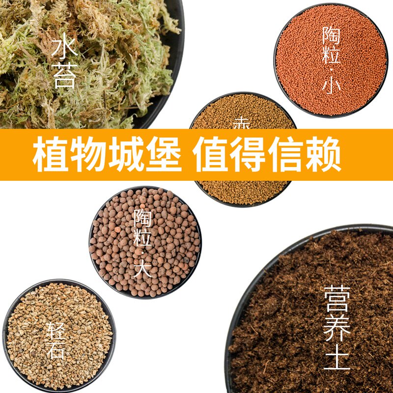 苔藓专用土营养土干水苔优质轻石三本线赤玉土造景材料包微景观