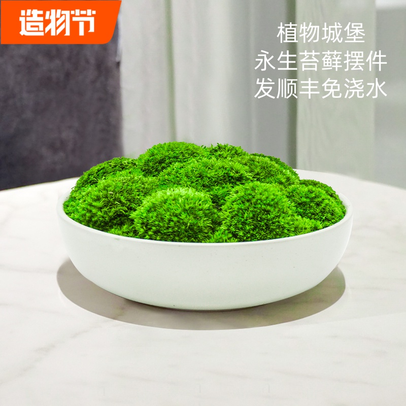 永生苔藓盆景仿真盆栽青苔样板间展厅4S店酒店玄关装饰桌面摆件