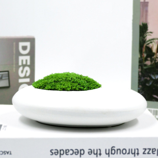 永生苔藓盆景仿真盆栽绿苔藓玄关装饰酒店花艺售楼处现代摆件