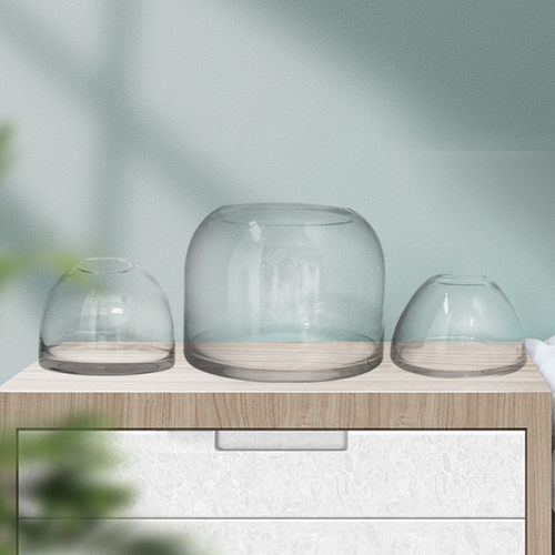 苔藓缸闷养盆器微景观玻璃容器微观生态瓶玻璃瓶花盆带灯微景瓶 - 封面