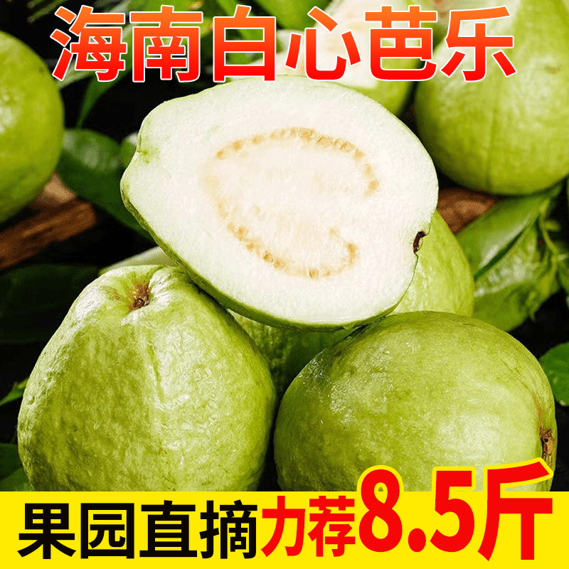 海南白心芭乐潘石榴整箱