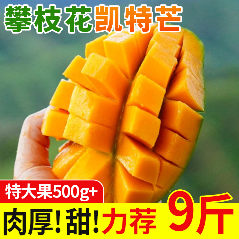 四川攀枝花凯特芒果热带水果