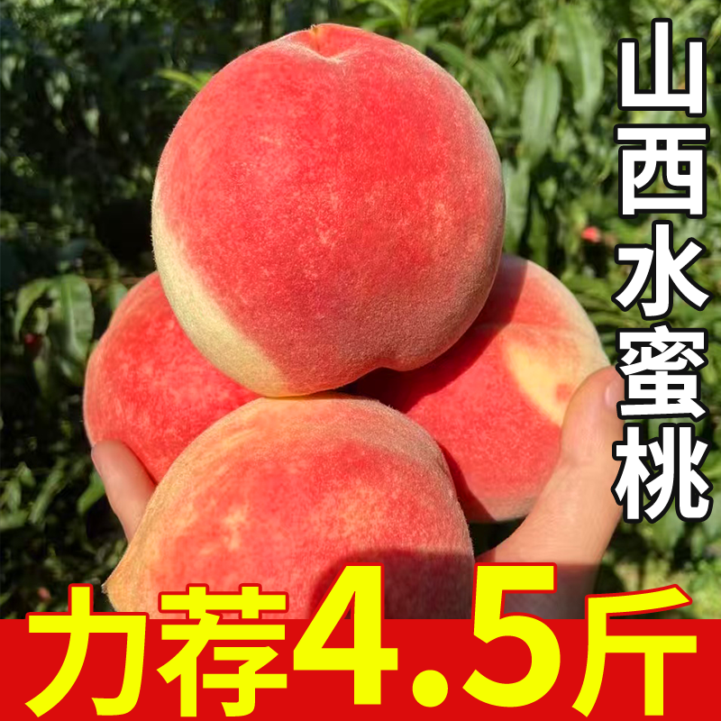 正宗山西水蜜桃原产地应当季