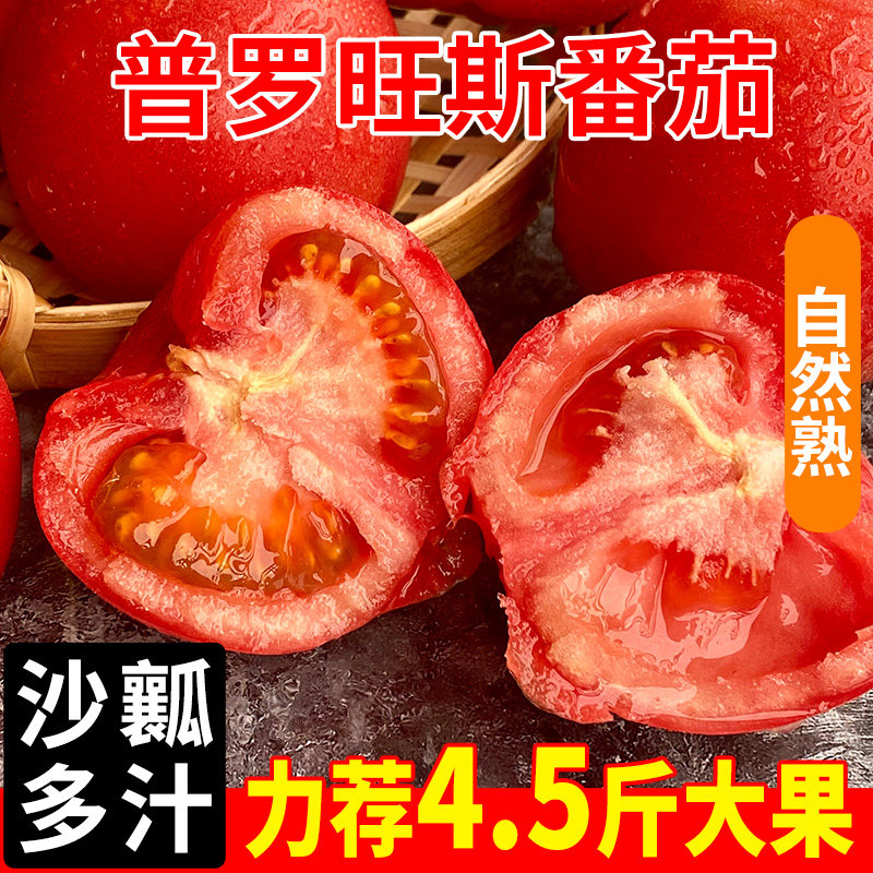 番茄西红柿新鲜蔬菜当天采摘